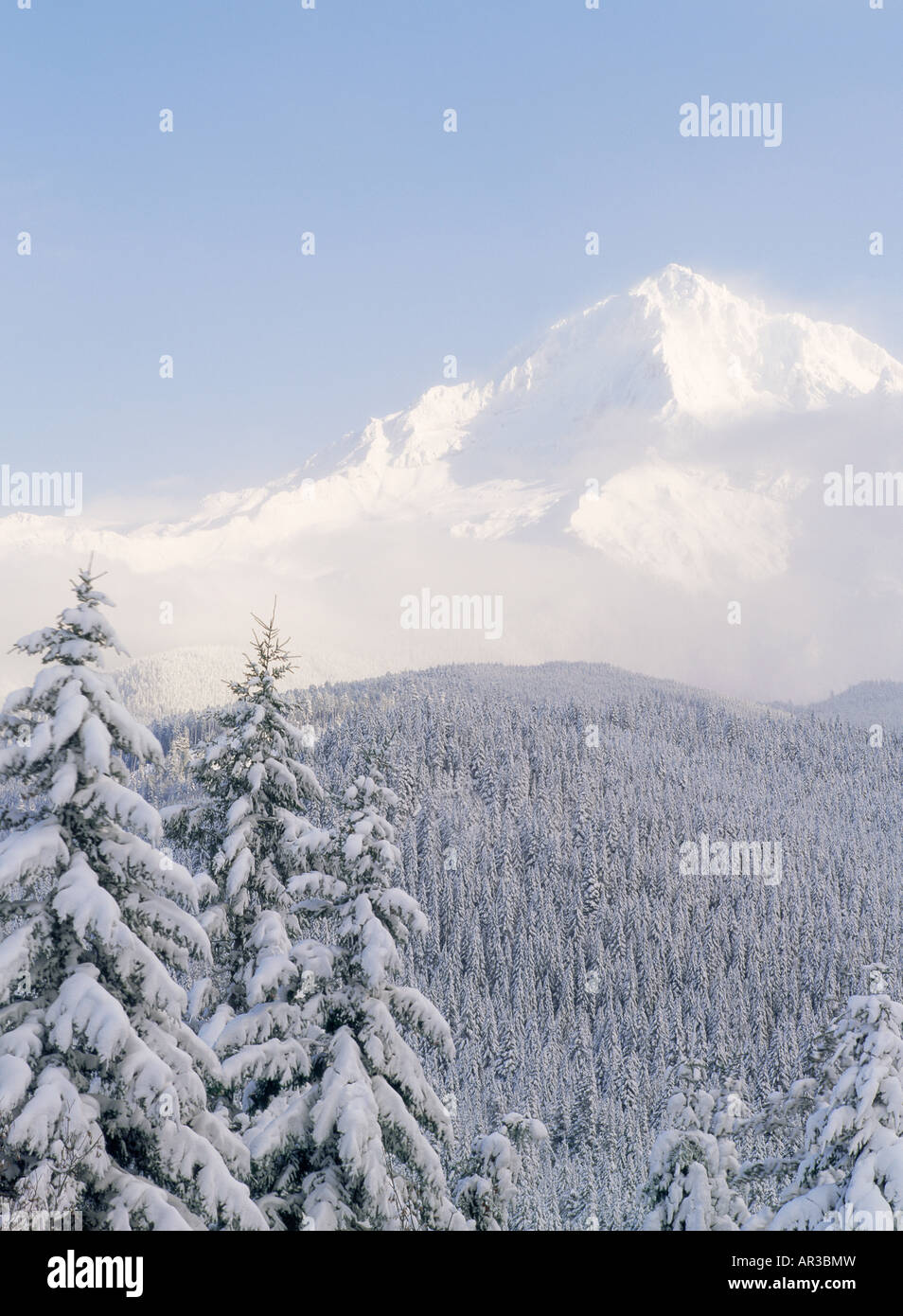 Mount Hood in oregon Stockfoto