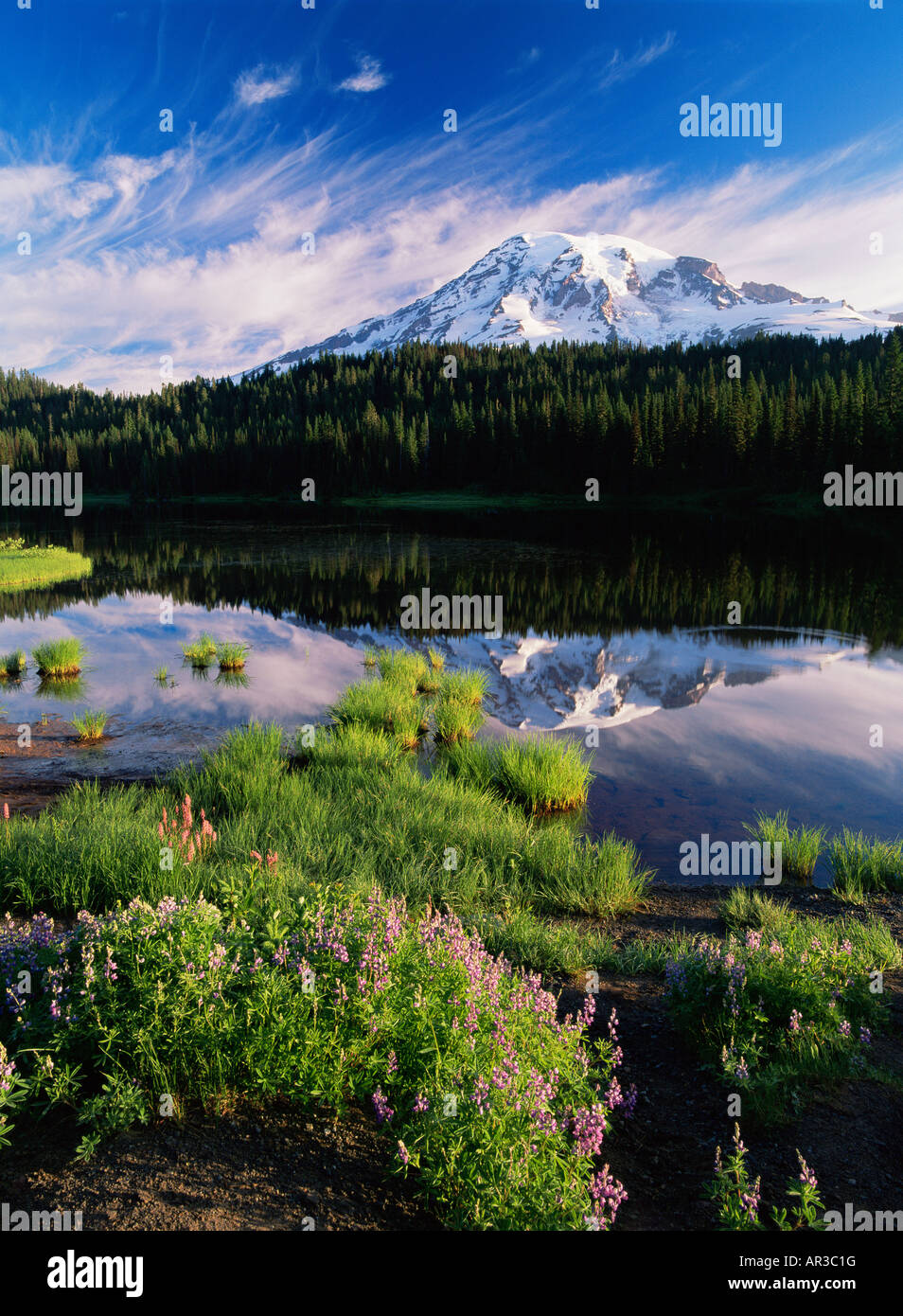Mount Rainier und Spiegelung See Stockfoto