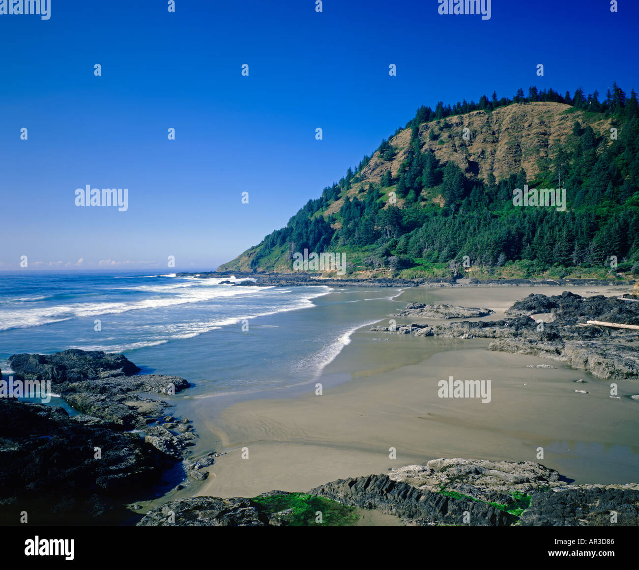 langen weißen Sandstrand an der Küste von Oregon USA Stockfoto