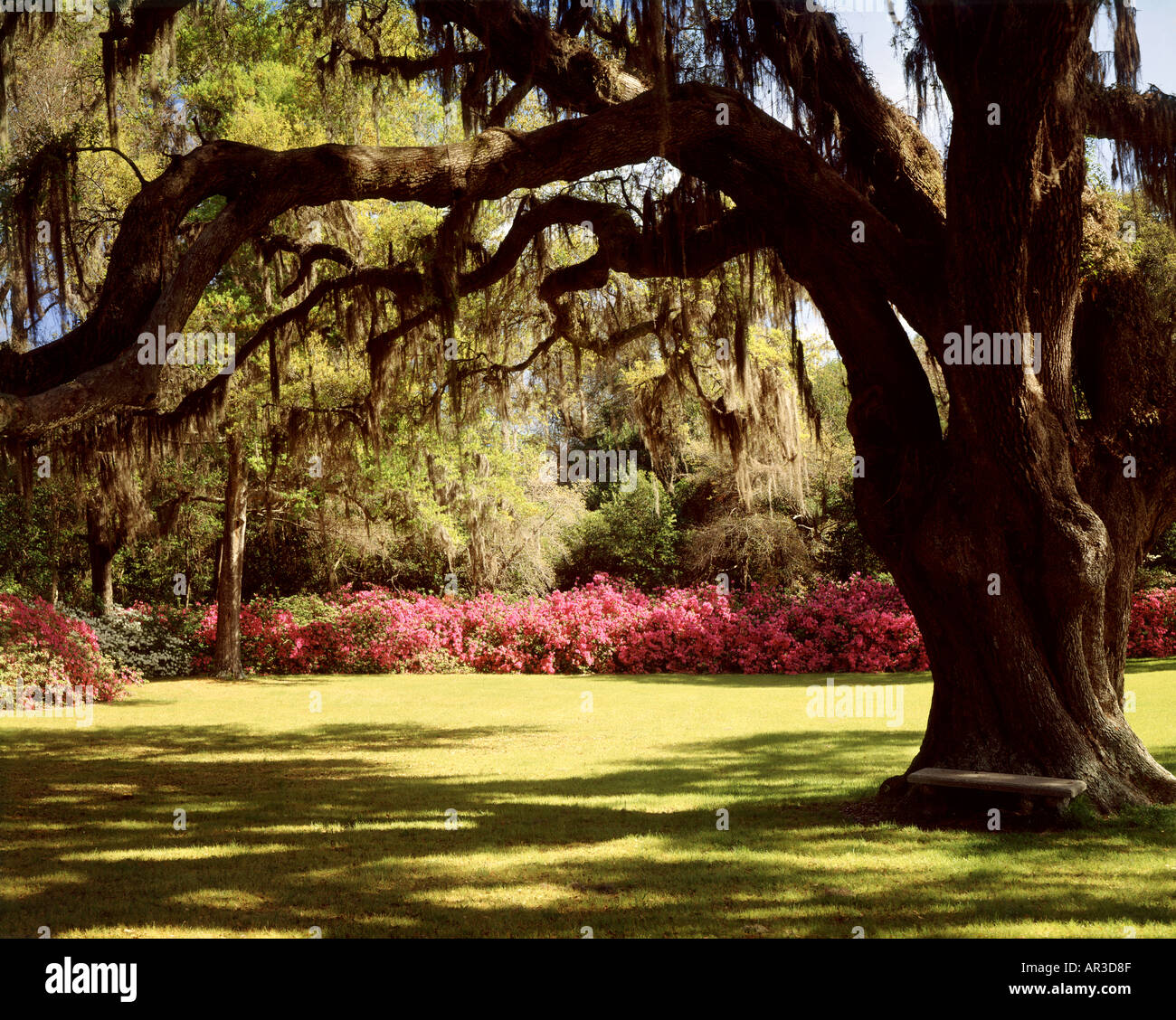 Orton Plantation Wilmington, North Carolina USA Stockfoto