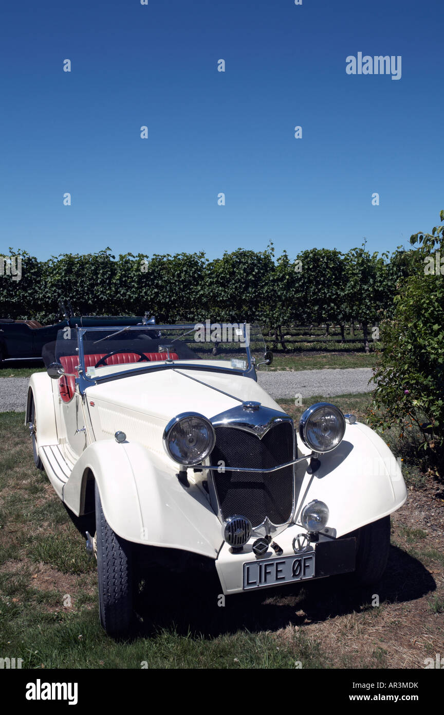 Leben von Riley – Riley Auto geparkt im Weinberg in der Nähe Carterton, Südinsel, Neuseeland Stockfoto