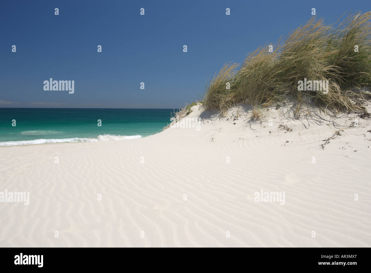Sanddünen am tropischen Strand Stockfoto
