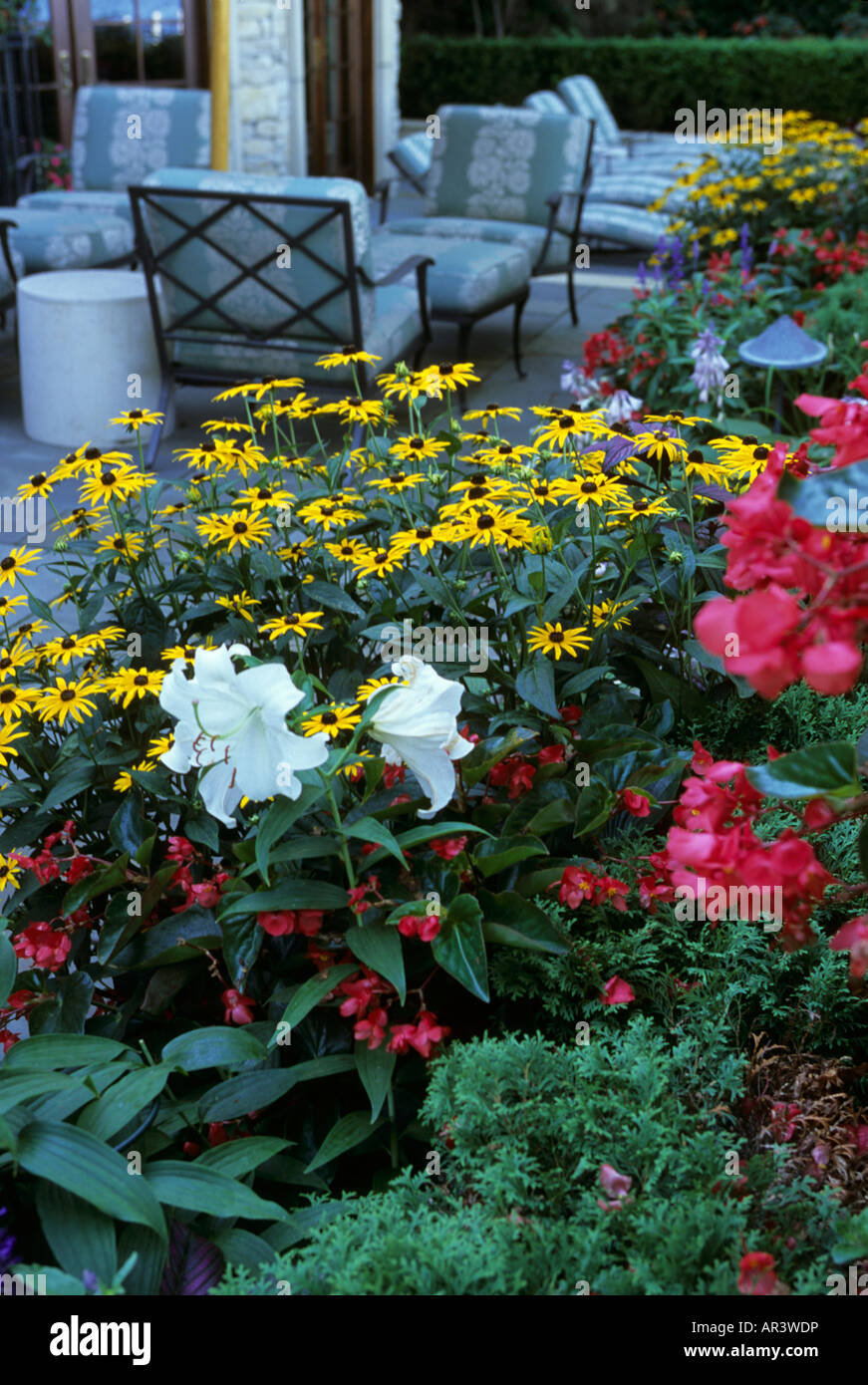 DETAIL DER TERRASSE HAUSGARTEN IN MINNESOTA.  CASA BLANCA LILIEN, RUDBECKIA GOLDSTURM UND ROTE DRAGONWING BEGONIEN. SOMMER. Stockfoto