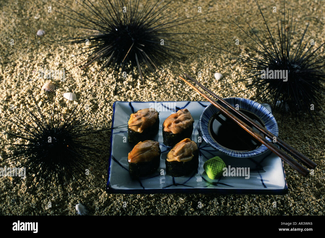 Japanische Seeigel Sushi, Japan Stockfoto