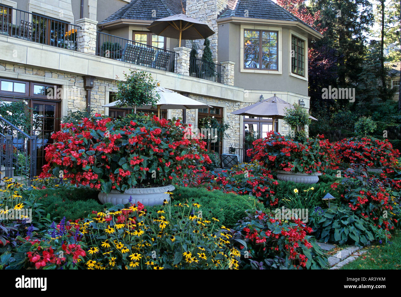 RÜCKEN-PATIO-GARTEN DES ELEGANTEN MINNESOTA HOME IN HERBST.  BEGONIEN, RUDBECKIA, HOSTA UND EUGENIA FORMSCHNITT.  VEREINIGTE STAATEN VON AMERIKA Stockfoto