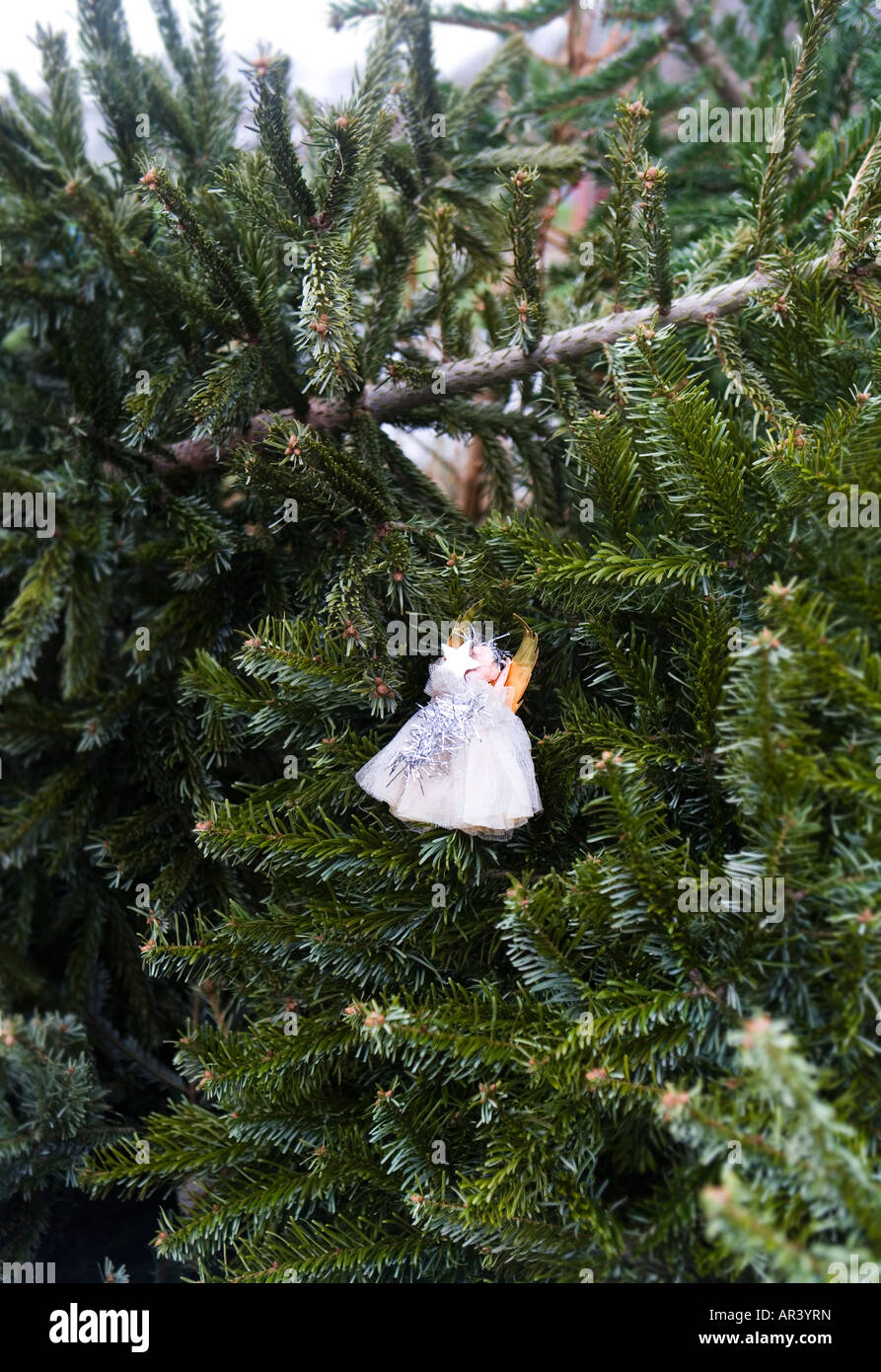 Recycelte Weihnachtsbäume mit einem alten Märchen wartet auf Weihnachtskollektion vom Gemeinderat in Sussex, England Stockfoto
