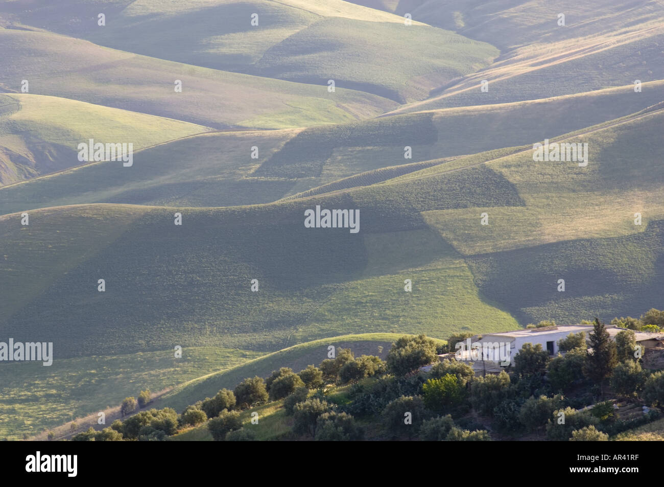 Grüngürtel von Fes, Fes, Marokko Stockfoto