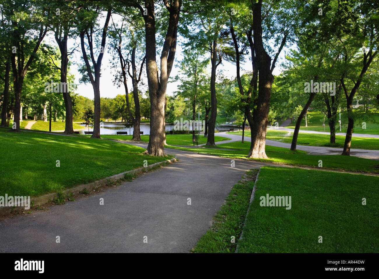 Fuß Pfade und Parkbänke in Lafontaine Park eines Montreal s beliebtesten innerstädtischen Parks, Montreal Quebec Kanada. Stockfoto