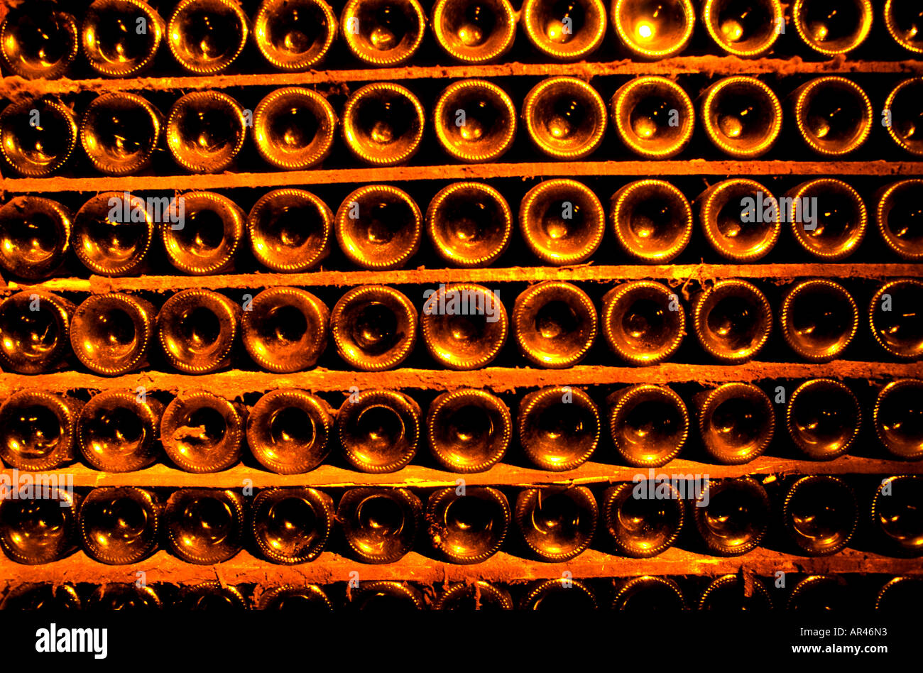 Frankreich Wein Ernte Vintage Trauben Weingut Weinkeller, Weinkeller Landwirtschaft Flaschen Keller Stockfoto