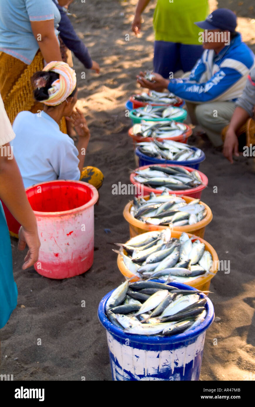 Balinesen mit frühen Morgen Angeln fangen in Lovina, Bali Stockfoto