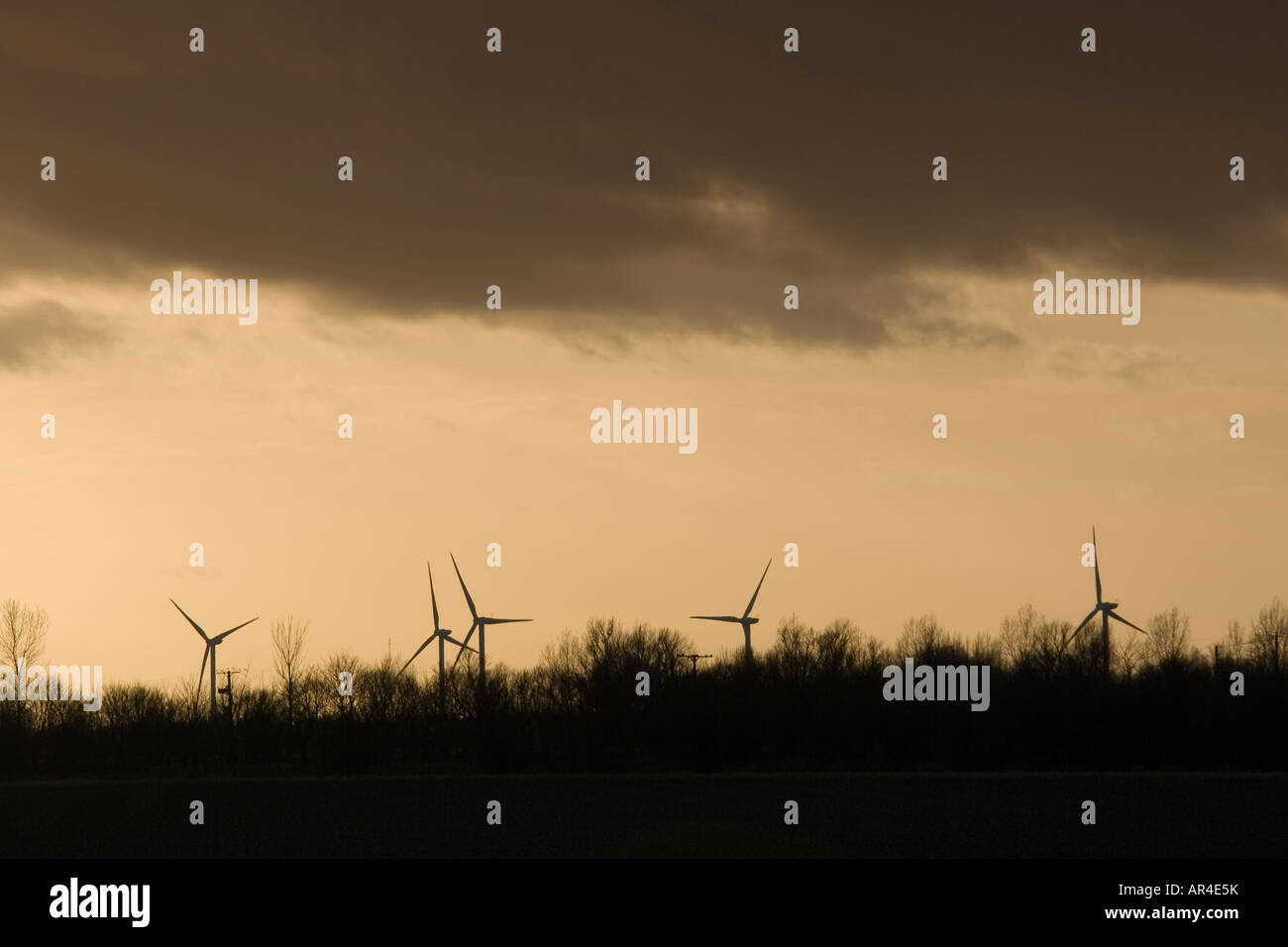 Ein Windpark in der Nähe von Lincolnshire Küste Dorf von Holbeach an einem späten Nachmittag im Winter mit Sturmwolken sammeln Stockfoto