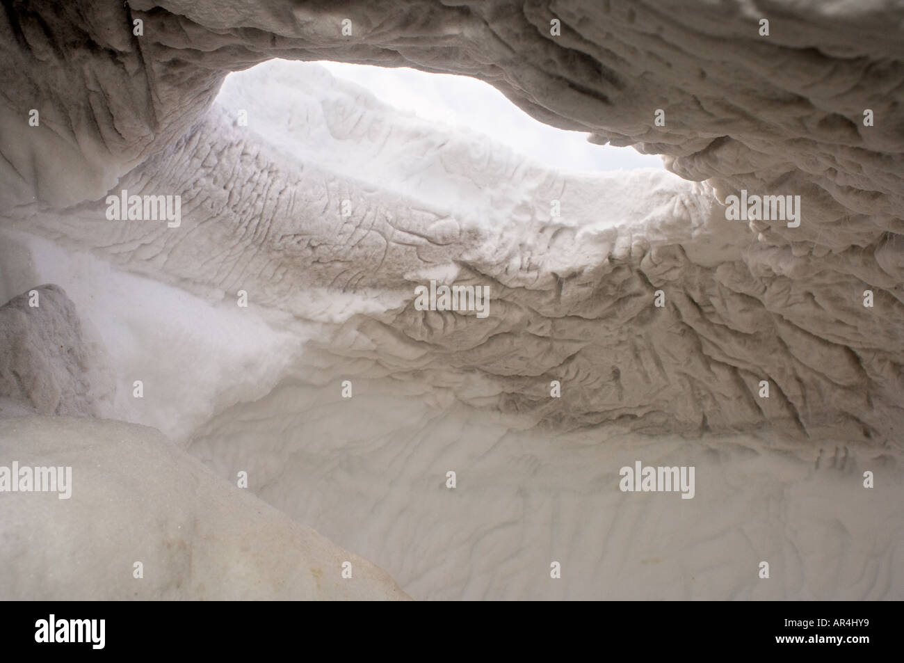 Eisbär Ursus Maritimus Höhle von innen Alaska Arctic National Wildlife Refuge Stockfoto