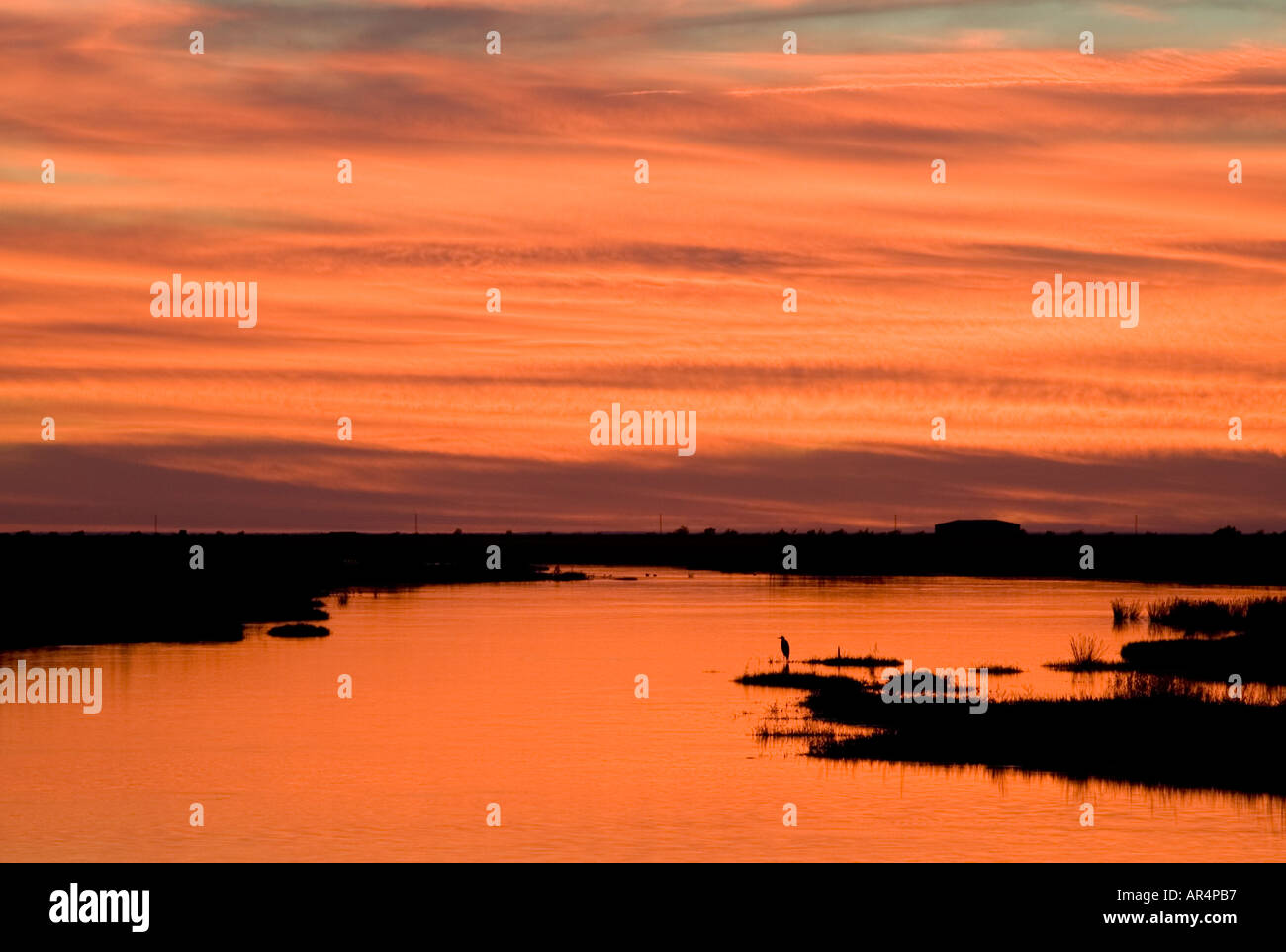 Parque nacional de la donana Fotos und Bildmaterial in hoher