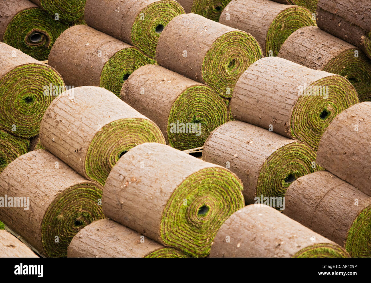 Rollen Rasen Haufen Heap Rasen im Garten symmetrisch identisch wiederholt  ungewöhnliche Erde Gartenbau Landschaften Stockfotografie - Alamy