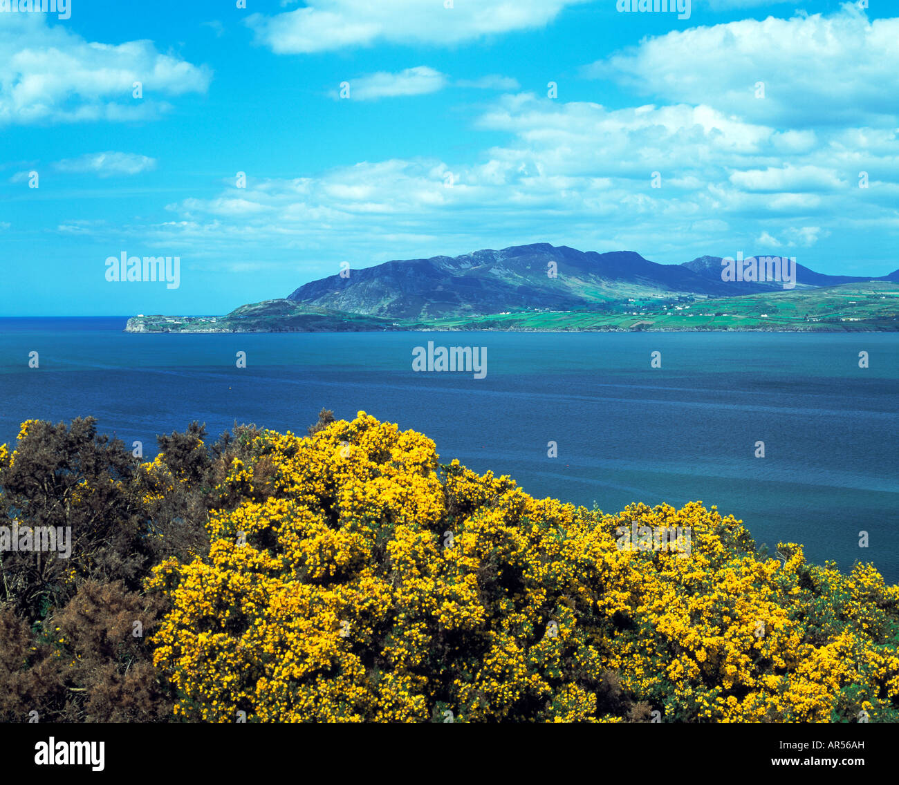 irische Atlantik Küste Landzunge Stockfoto