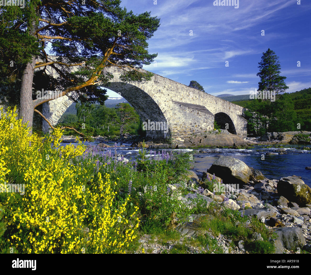 Invercauld Brücke und Fluss Dee Aberdeenshire Grampian Region Schottland GPLM 1124 Stockfoto