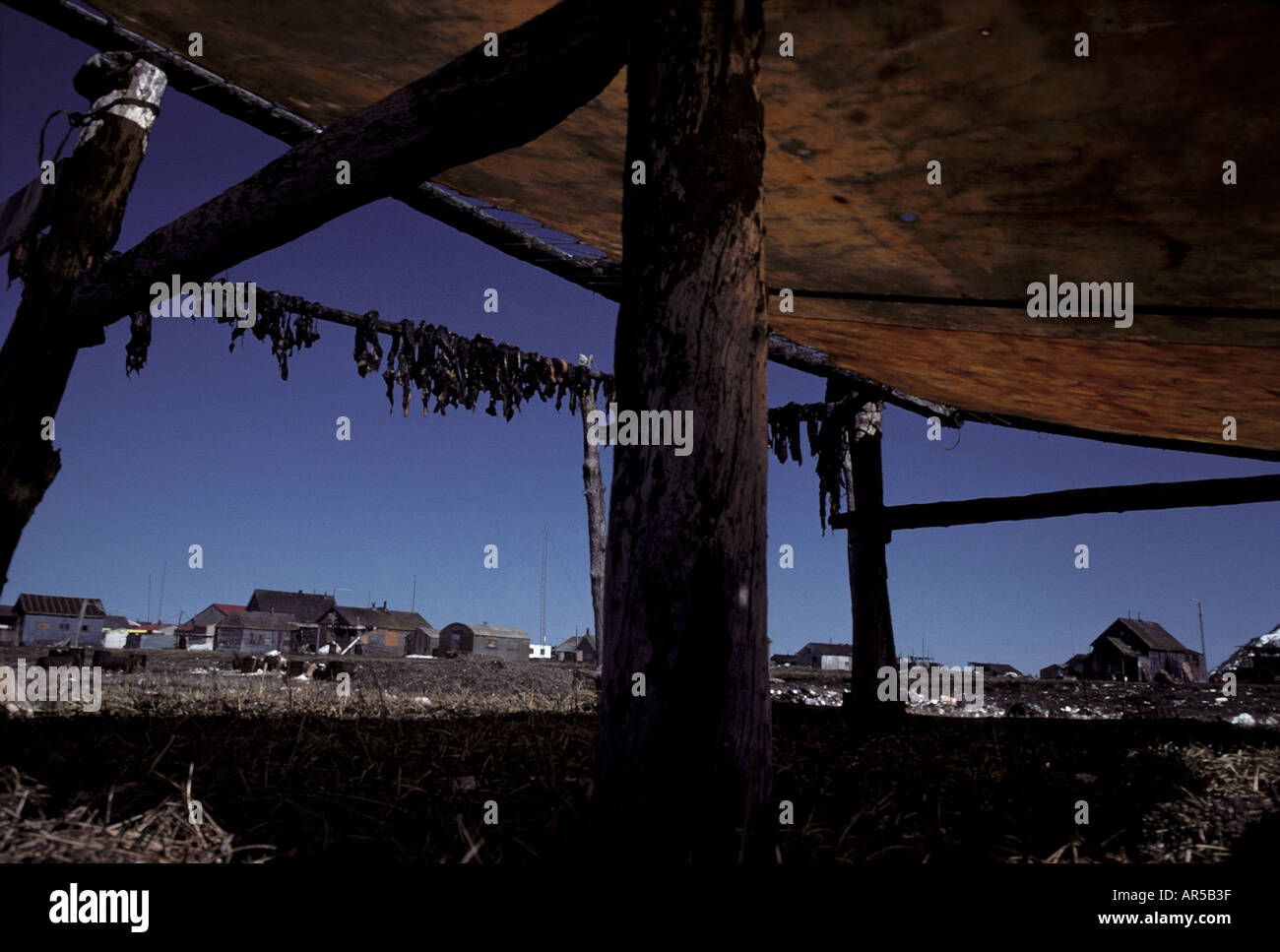 Inuit Stadt Gambell unter Walross verstecken Saint Lawrence Insel Beringmeer Alaska Stockfoto