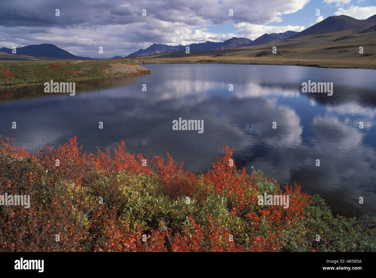 Turilik See im Herbst Tundra Northside of Brooks Range Tore der Arctic National Park N Alaska USA Stockfoto