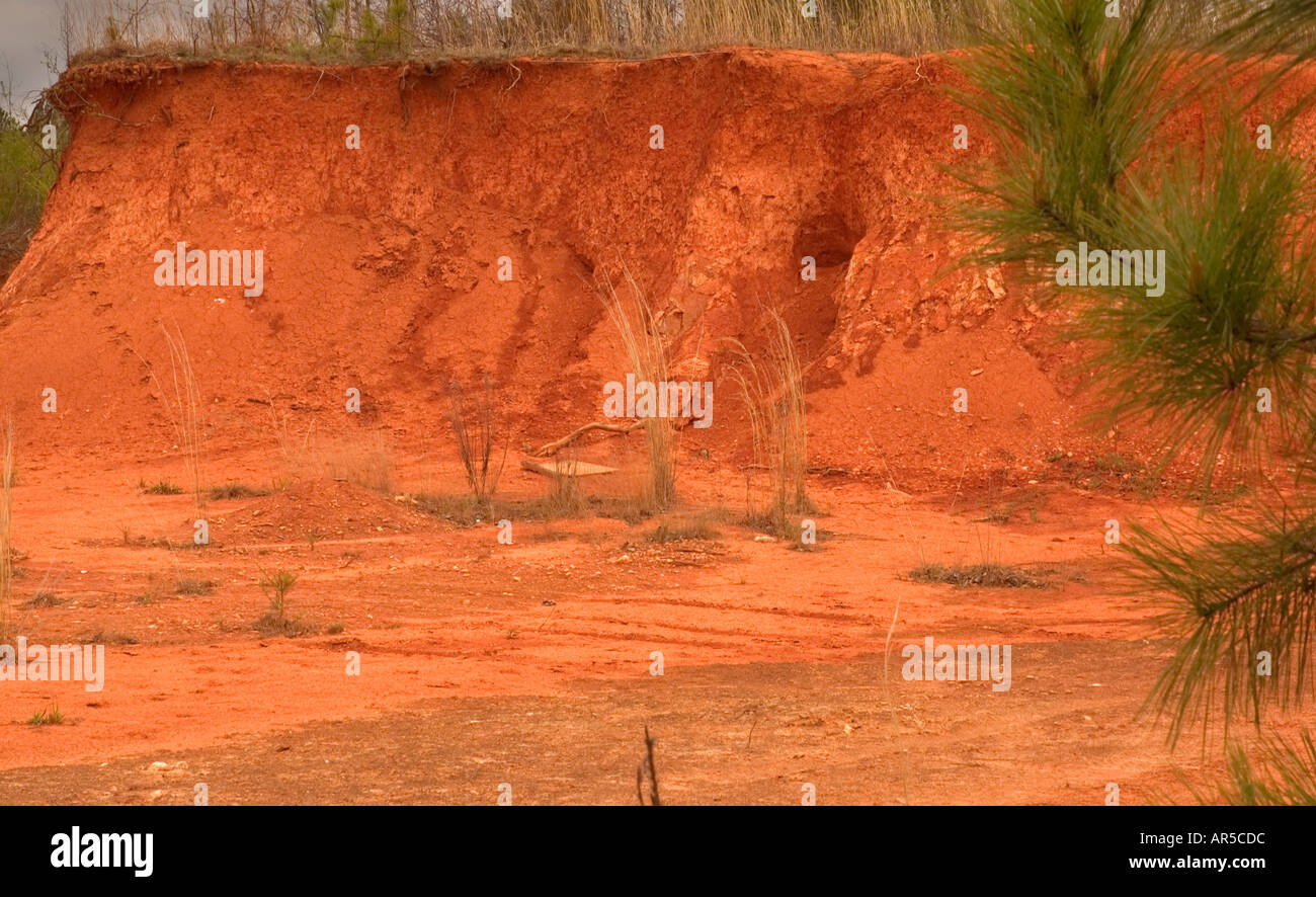 North Carolina Rot Schmutz. USA Stockfoto