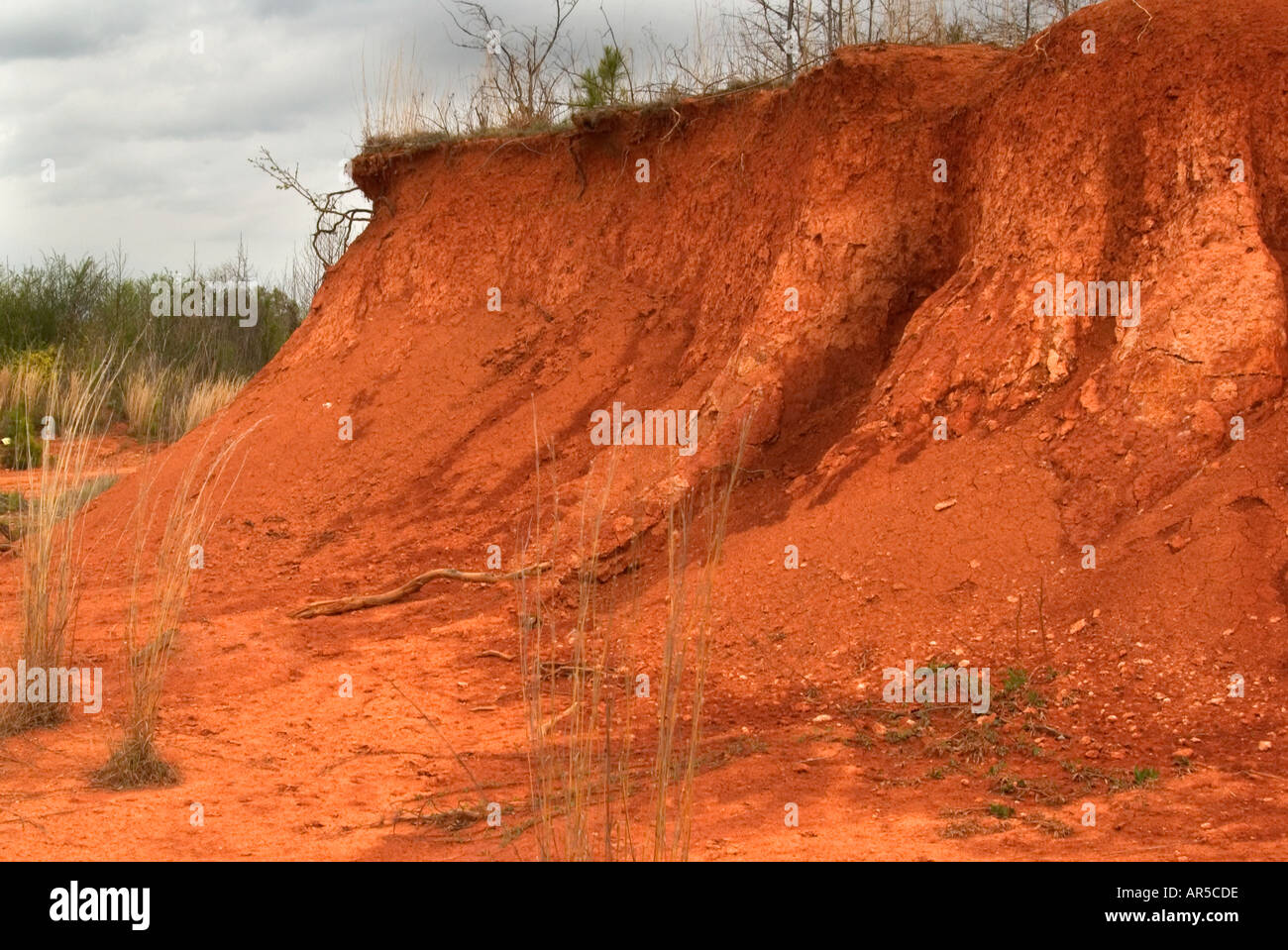 North Carolina Rot Schmutz. USA Stockfoto