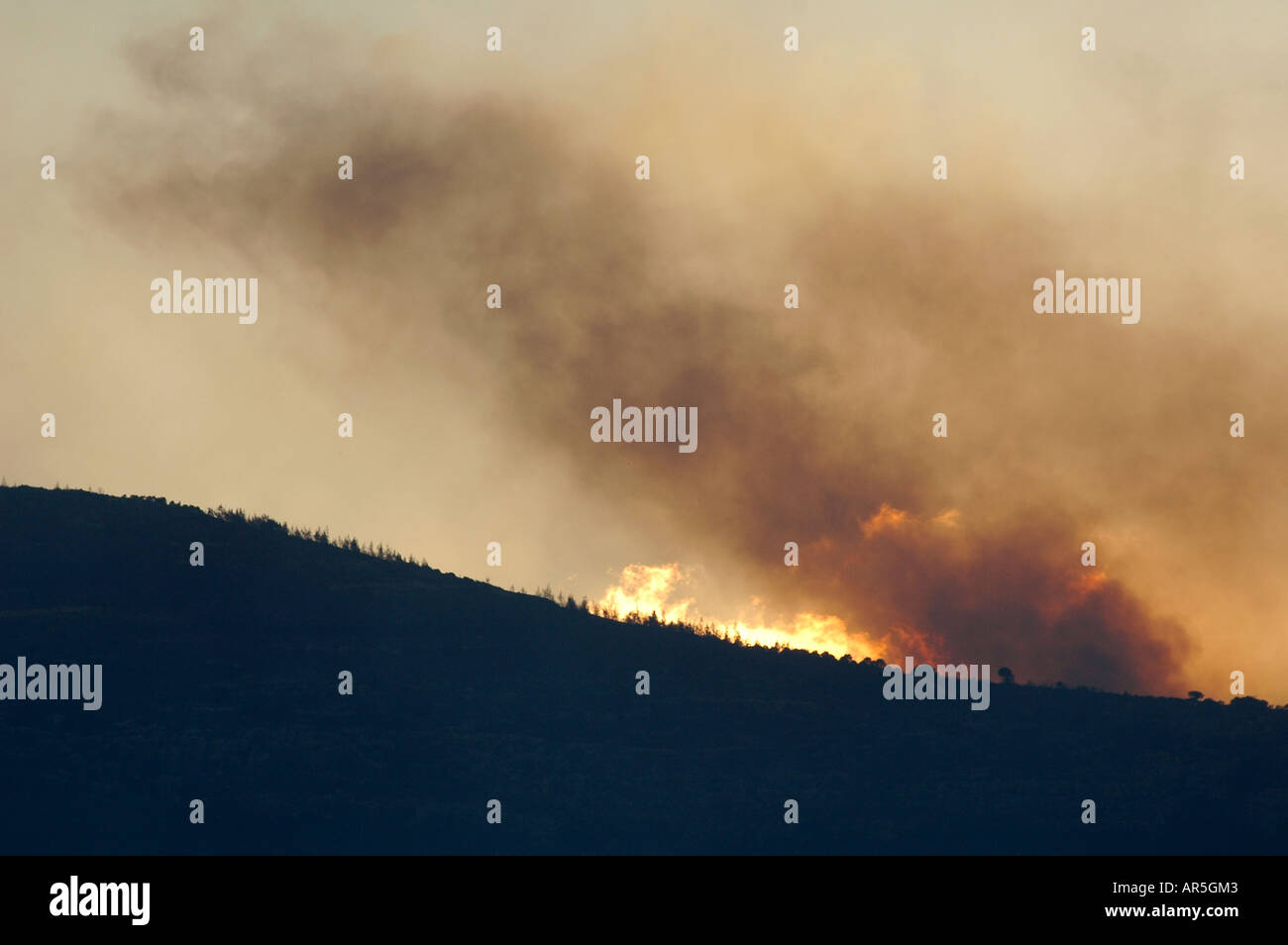 Flammen und dichter Rauch steigen während eines massiven Waldbrands in der Galiläa-Region auf, der durch den Hisbollah-Schuss aus dem Libanon im Norden Israels verursacht wurde Stockfoto