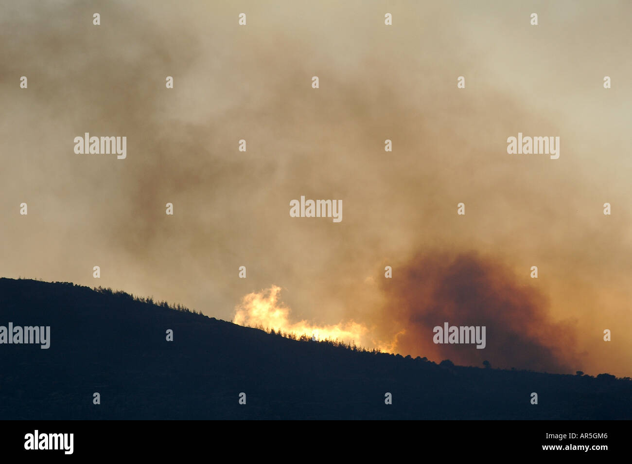 Flammen und dichter Rauch steigen während eines massiven Waldbrands in der Galiläa-Region auf, der durch den Hisbollah-Schuss aus dem Libanon im Norden Israels verursacht wurde Stockfoto