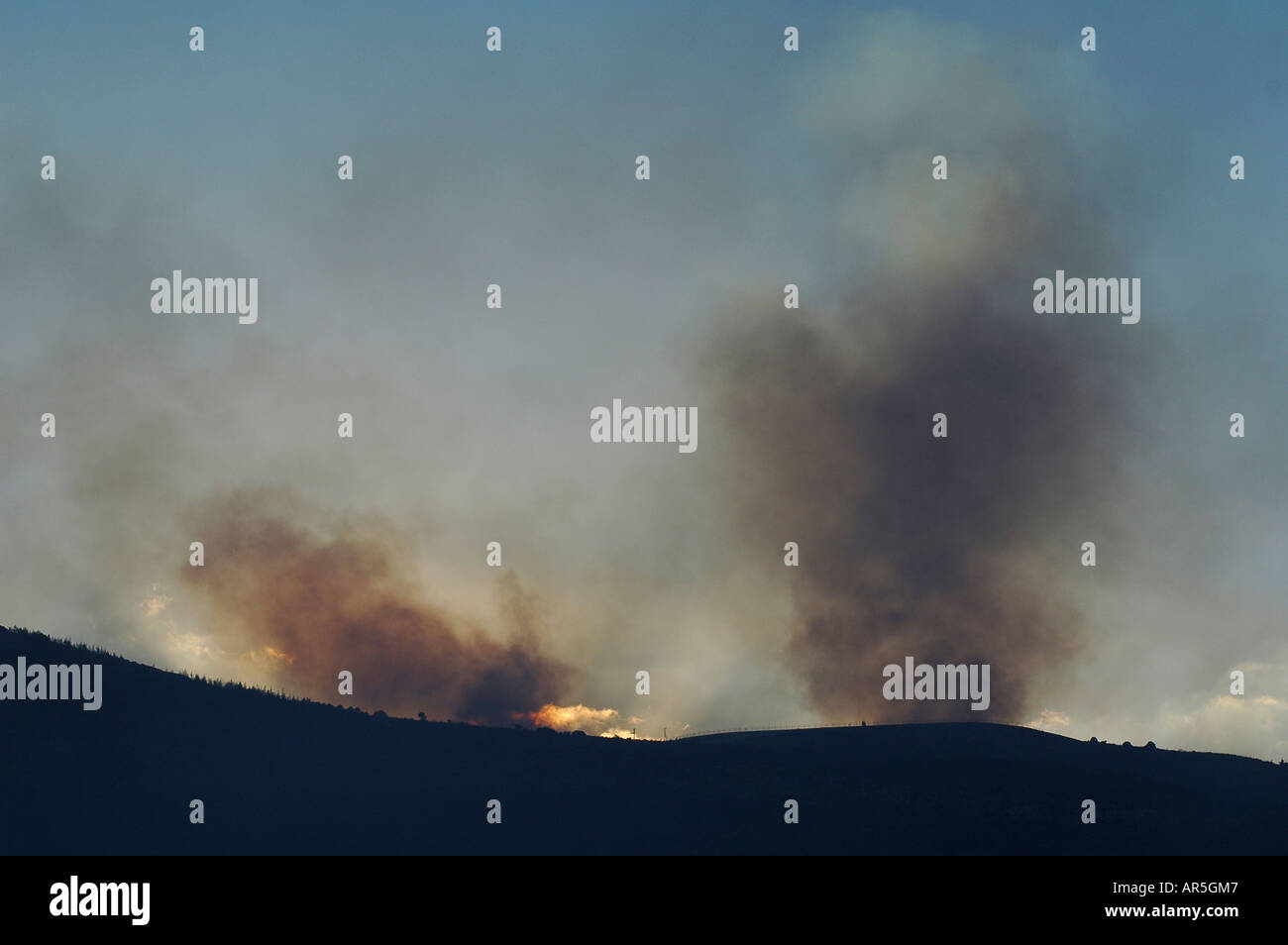 Flammen und dichter Rauch steigen während eines massiven Waldbrands in der Galiläa-Region auf, der durch den Hisbollah-Schuss aus dem Libanon im Norden Israels verursacht wurde Stockfoto