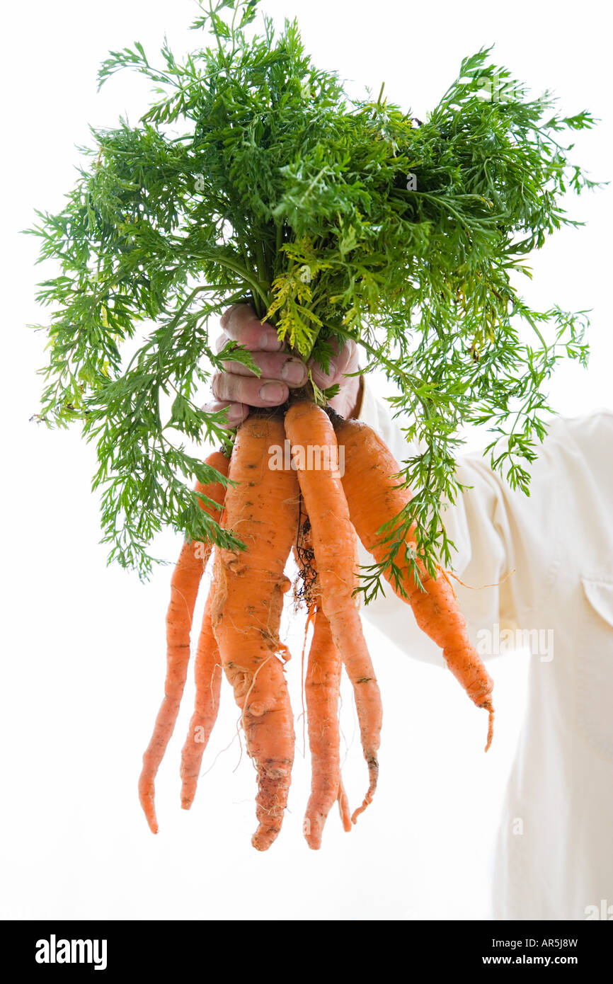 Mann halten Bund Karotten Stockfoto