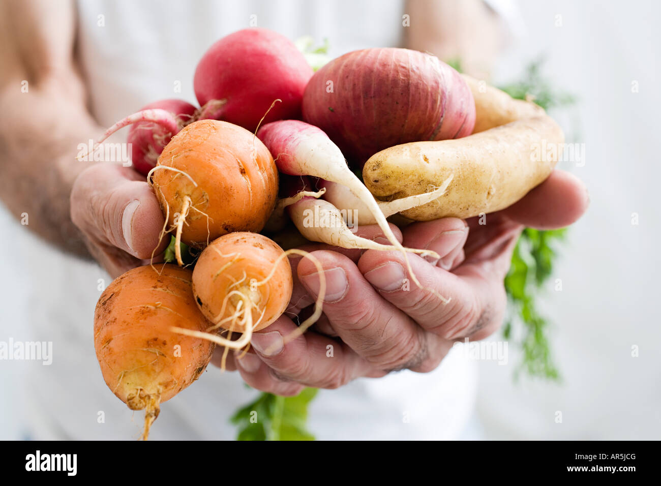 Mann-Betrieb-Gemüse Stockfoto