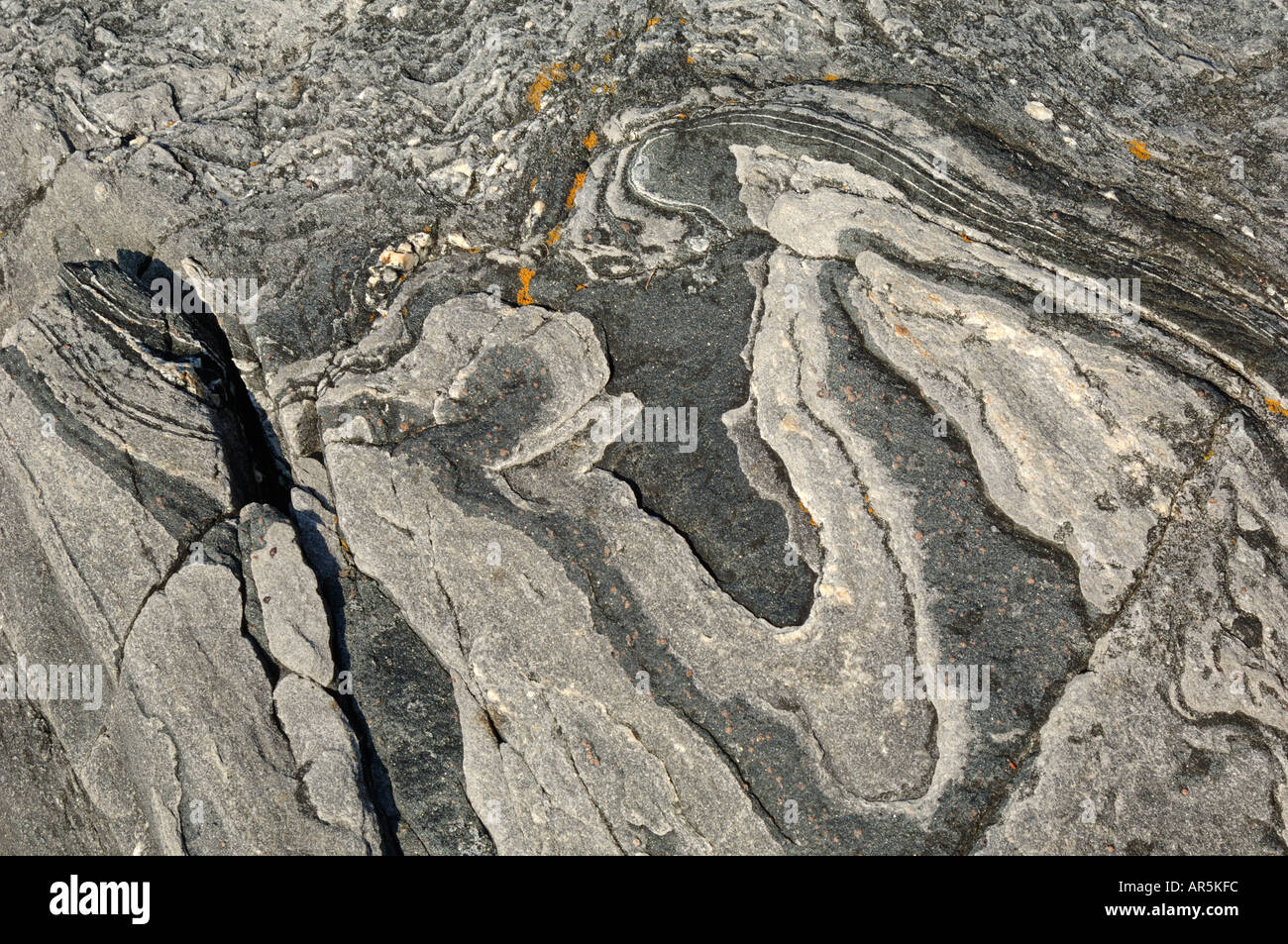 Rock detail, Ufer des Lyngen Ivgovuotna, in der Nähe von Tromsø, Norwegen Stockfoto
