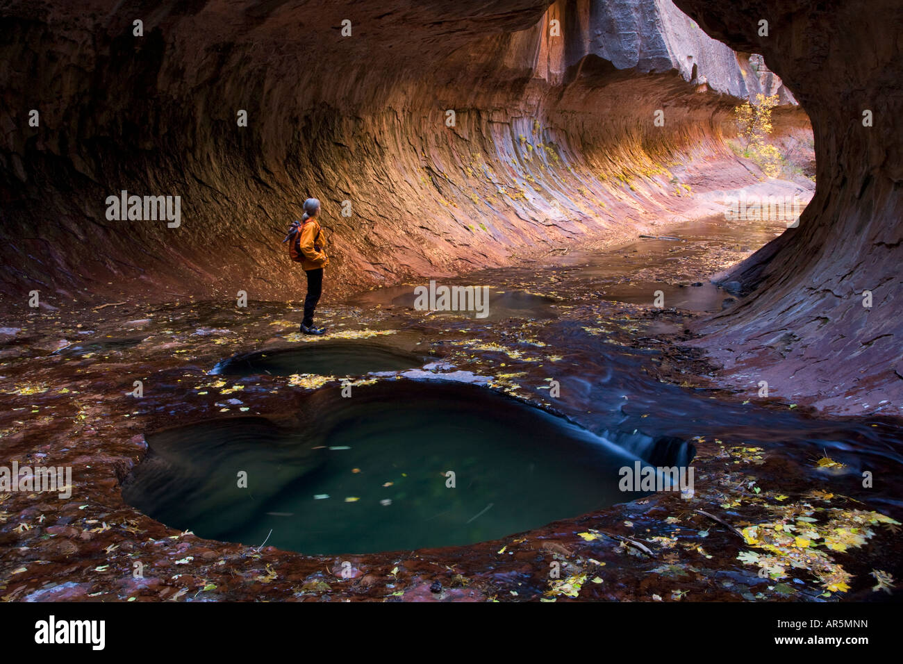 Ein Wanderer auf dem U-Bahn Teil des North Creek Zion Nationalpark Utahs links Gabel Modell veröffentlicht Stockfoto