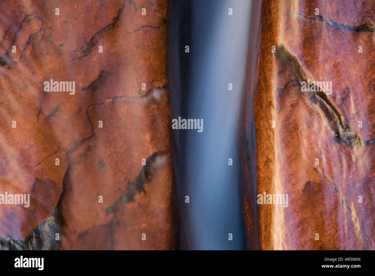 Linke Gabel aus North Creek Zion National Park in Utah Stockfoto