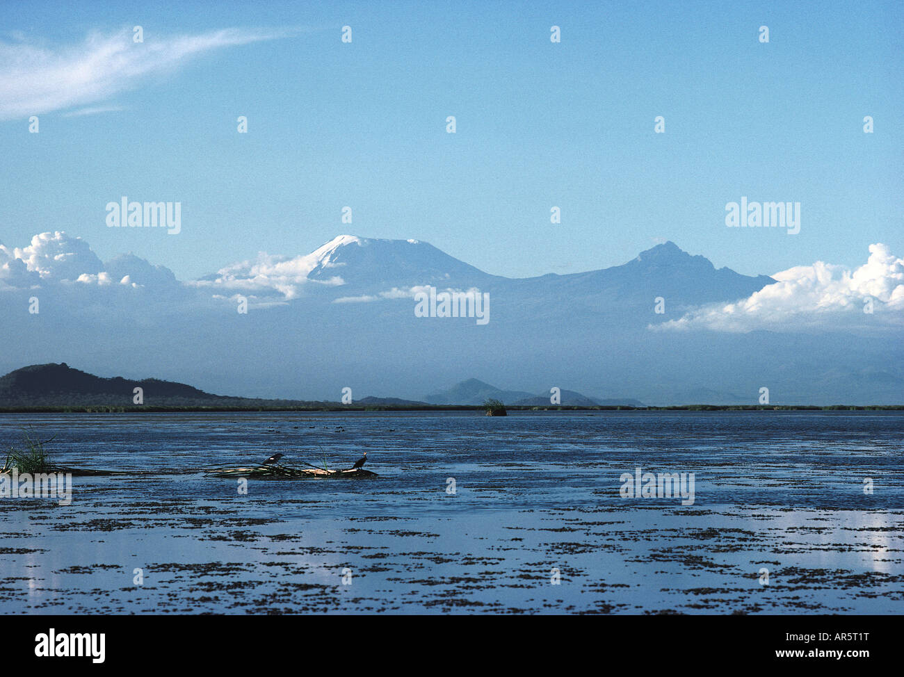 Schneebedeckten Kilimanjaro und Mawenzi gesehen vom Lake Jipe Tsavo West Nationalpark Kenia in Ostafrika Stockfoto