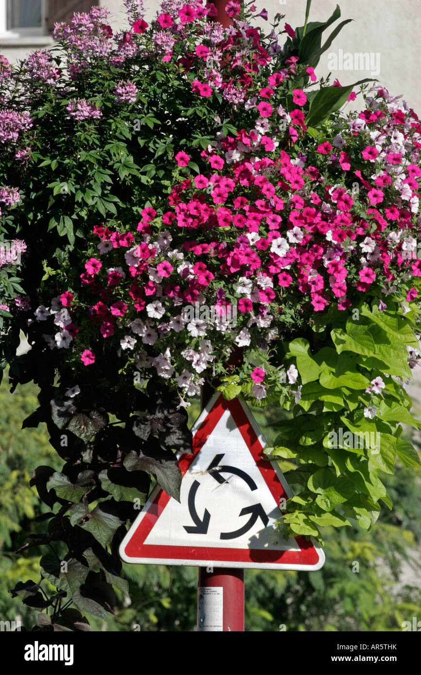 Französische Straße Blumenschmuck Stockfoto