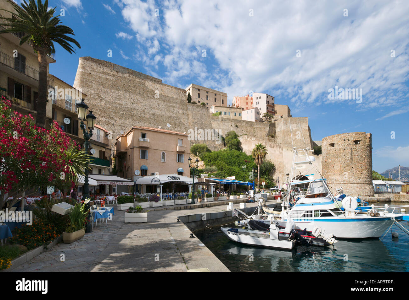 Hafen und Citadelle, Quai Landry, Calvi, Balagne, Korsika, Frankreich Stockfoto
