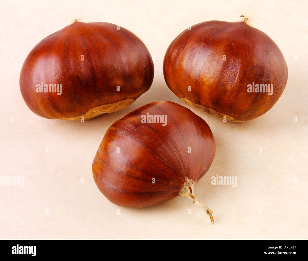 DREI KASTANIEN Stockfoto