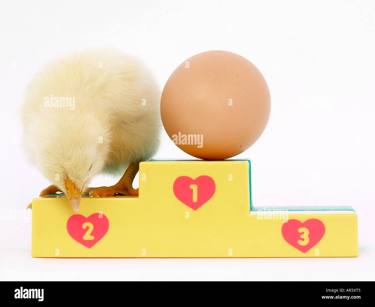 Eine kleine Küken und ein Ei auf einem Podium, die zuerst das Huhn oder das Ei kam. Stockfoto