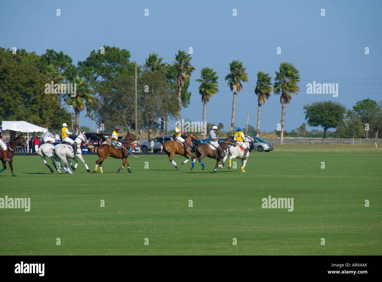 Sarasota Florida Sarasota Polo Club Spiel Sport Erholung im freien Stockfoto