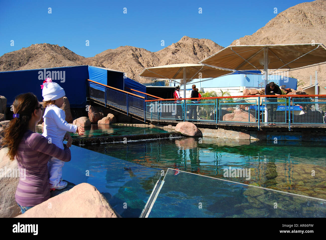 Outdoor-Schildkröte Pools, Coral World Underwater Observatory und Aquarium, Eilat, South District, Israel Stockfoto