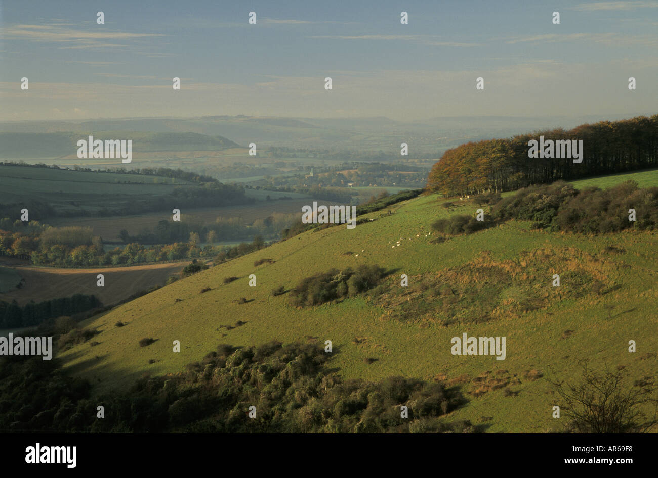 Melbury Fontmell Downs Dorset Stockfoto