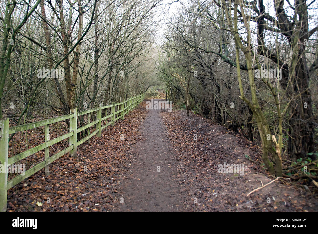 Sandwell Land Park Fuß Talweg mit Bäumen entlang der Seite Stockfoto