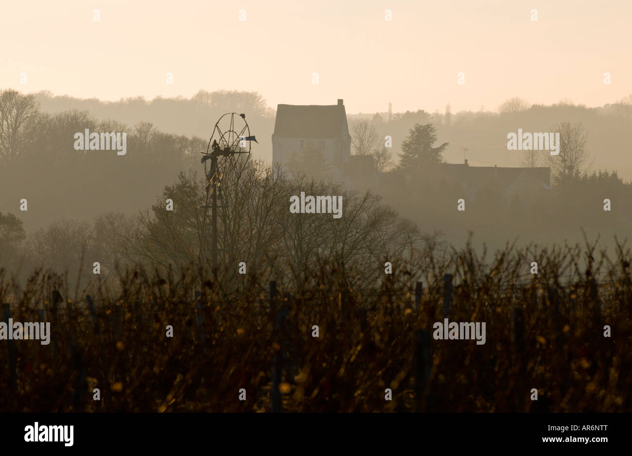 Blick auf Wind Pumpe über Weinberg, Frankreich. Stockfoto