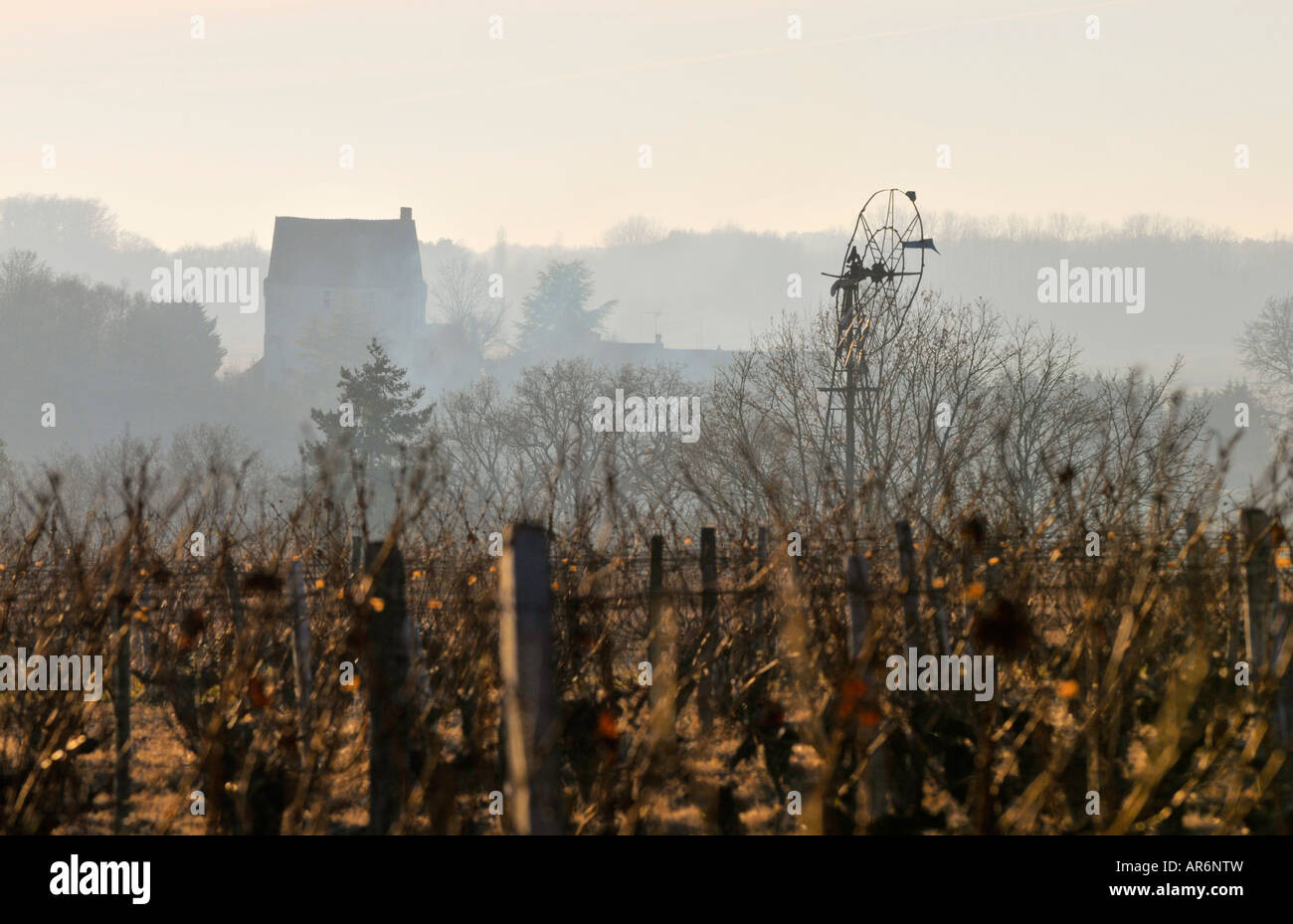 Blick auf Wind Pumpe über Weinberg, Frankreich. Stockfoto