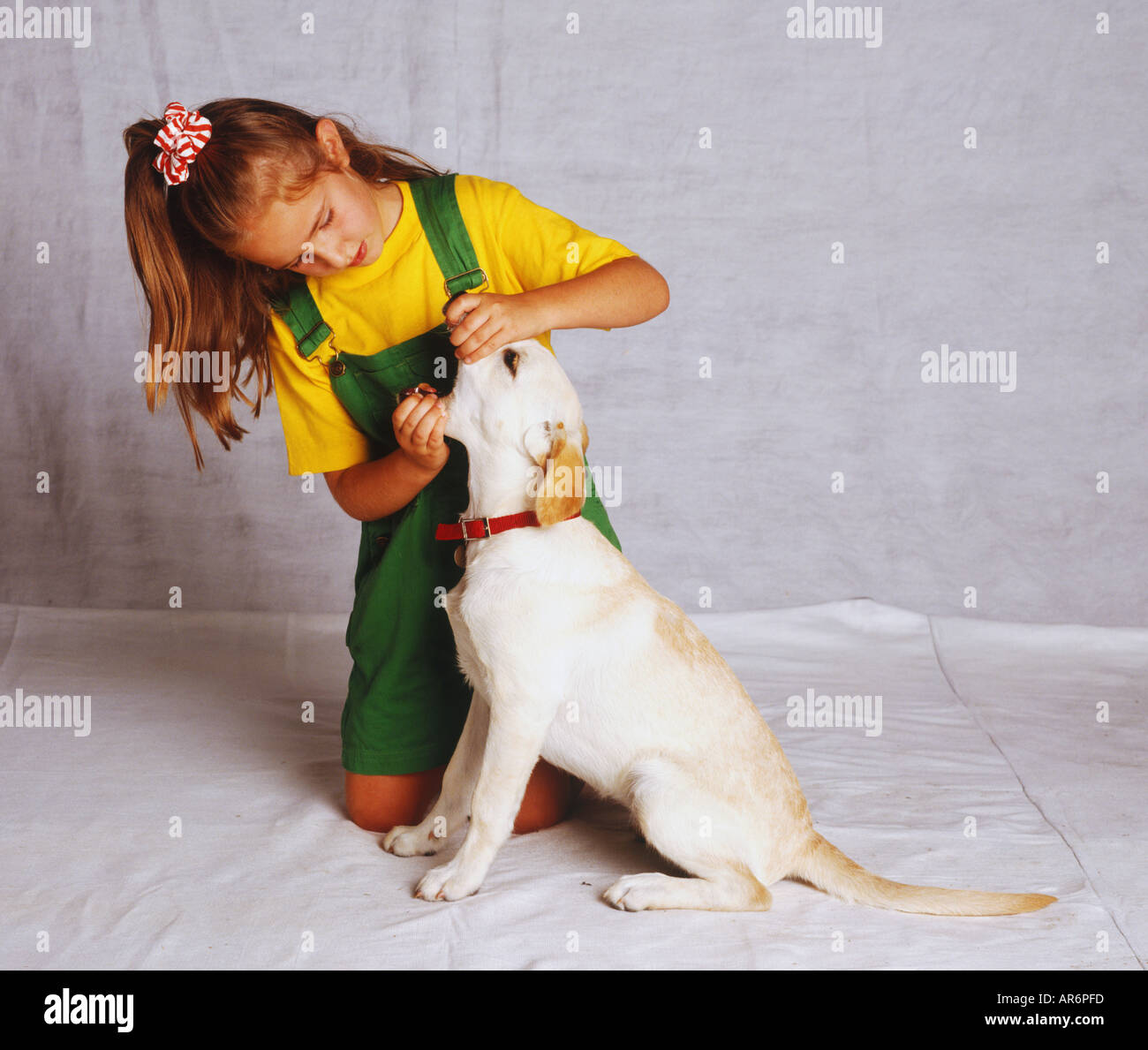 Mädchen tragen grüne Latzhosen über gelbes T-shirt, beugte sich über golden Labrador Welpe Welpen Nachtfalter halten öffnen Stockfoto