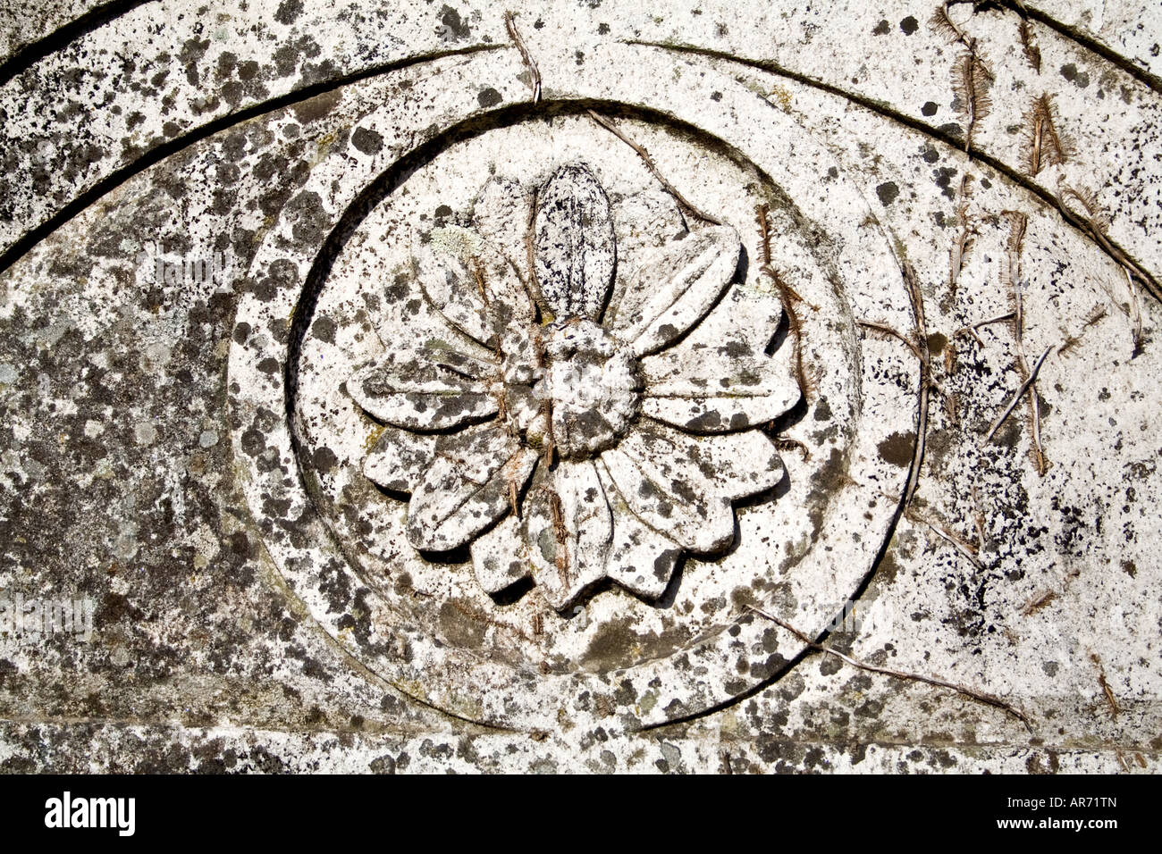 Mittelalterliche Flachrelief einer Blume im Landim Kloster. Vila Nova de Famalicão, Portugal Stockfoto