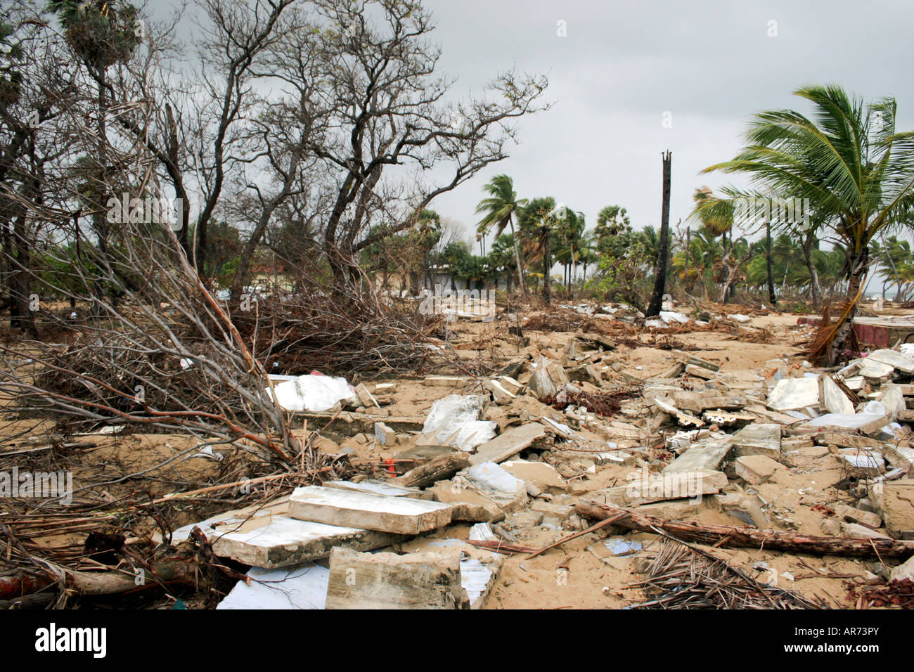 Verbleibenden Häuser in einem kleinen Dorf auf Halbinsel Jaffna, Sri Lanka nach dem Tsunami in 2004 getroffen. Stockfoto