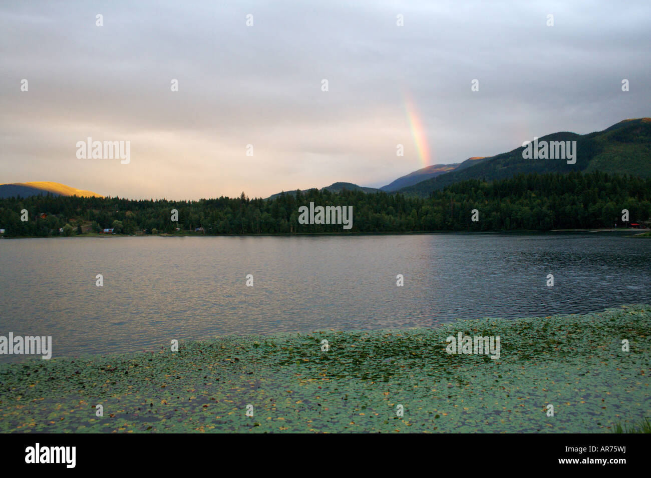 Holländer See, Clearwater, Britisch-Kolumbien, Kanada mit einem Regenbogen am Abend. Stockfoto