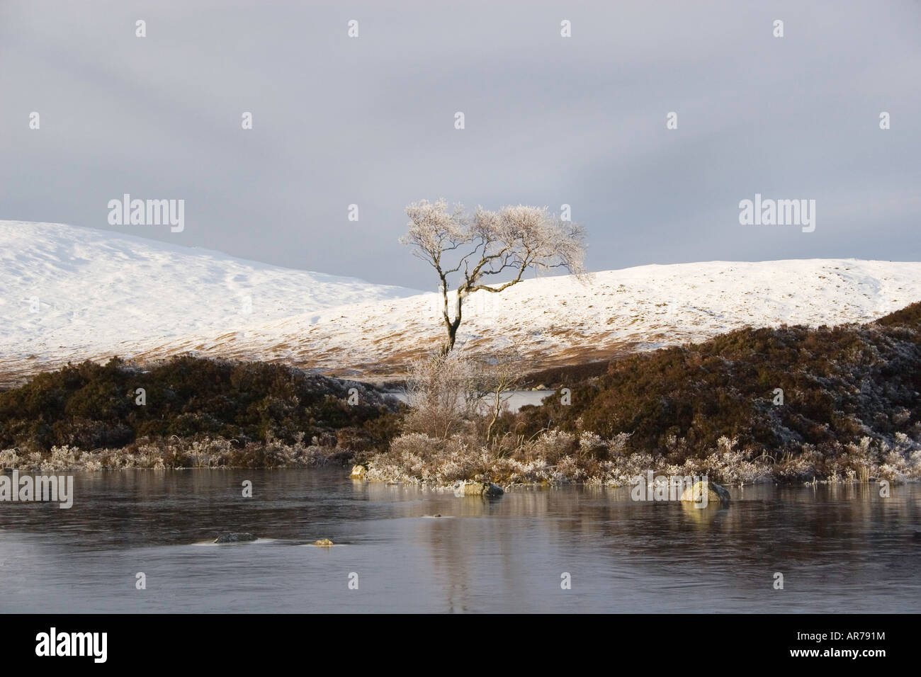 Mitten im Winter auf Rannoch Moor Stockfoto