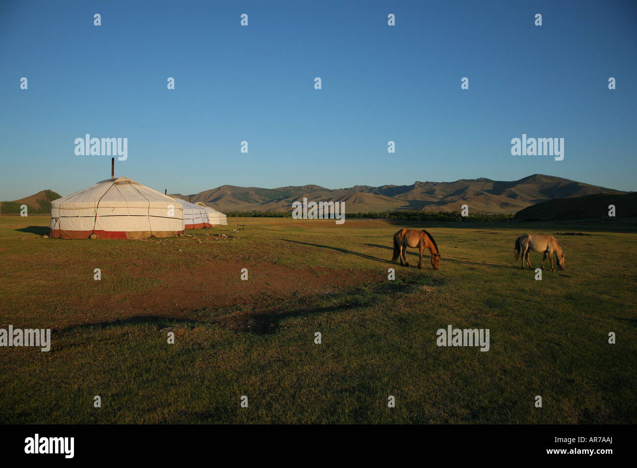 Tärelsch Nationalpark Mongolei Stockfoto
