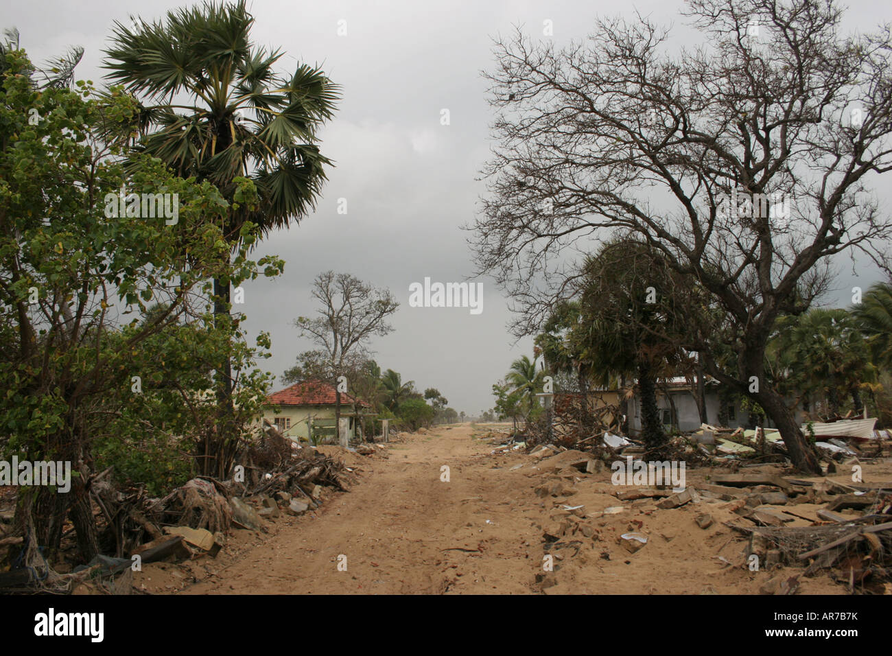 Eine Straße durch ein Dorf auf der Halbinsel Jaffna, das im Jahr 2004 durch den Tsunami zerstört wird. Stockfoto